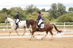 SBM_001885