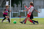BWCI Mini Soccer Festival 2022-24