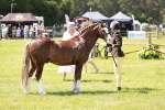 SBM_15539