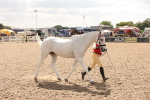 SBM_04618