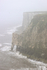 Misty scene at Bempton Cliffs, Yorkshire