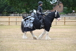 WJ6_8836