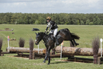BVHT 140517  IXC -141