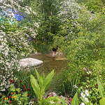 RHS Chelsea Flower Show 2023