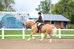 SBM_00309