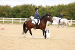SBM_001331