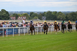 Race 7 17.40pm Happy Birthday Roy Archer Handicap portfolio