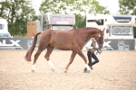 SBM_08269