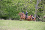 WJ6_2010