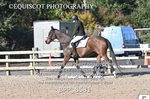 BPP_8581