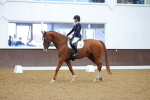 SBM_002044