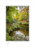 01 9x12 2022-551C Foleys Bridge Shimna River Tullymore Forest Co Down