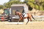 SBM_001352