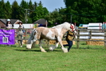 SBM_10141