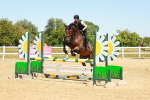 SBM_006579