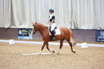 SBM_007649