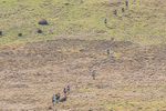 Black Combe-15
