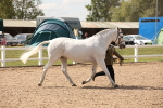 SBM_04546