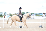 SBM_17293