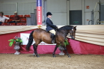 SBM_18691