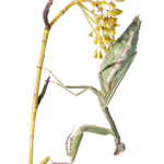 ITA_PHD_20111002-005