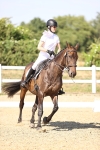 SBM_006663