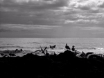 Gathering