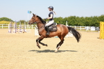 SBM_001006