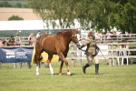 SBM_09241