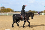 SBM_001044