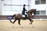 SBM_008903