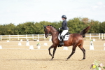 SBM_008716