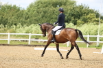 SBM_001435