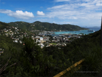 Tortola