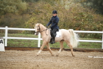 SBM_001444