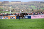 130326-Race 5-Gaelic Warrior-2614