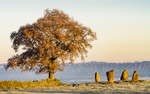 Nine Stones Close, near Alport (4)