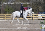 BPP_9079
