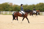 SBM_001313