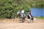 WJ6_8214