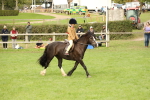 SBM_71549