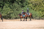 WJ6_7852