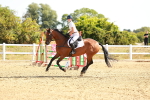 SBM_002643