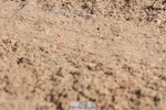 240706A-093341-00237