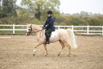 SBM_001446