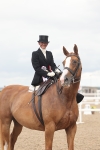 Class 24 - SSA Concours d'Elegance portfolio
