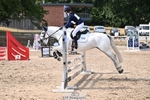 PC80 Showjumping portfolio