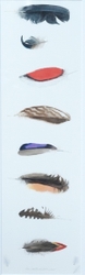 Feathers