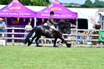 SBM_07996