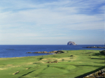 16th green